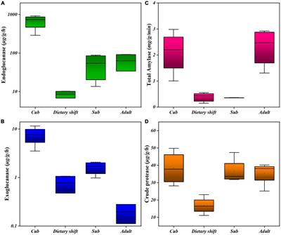 An amateur gut microbial configuration formed in giant panda for striving to digest cellulose in bamboo: Systematic evidence from intestinal digestive enzymes, functional genes and microbial structures